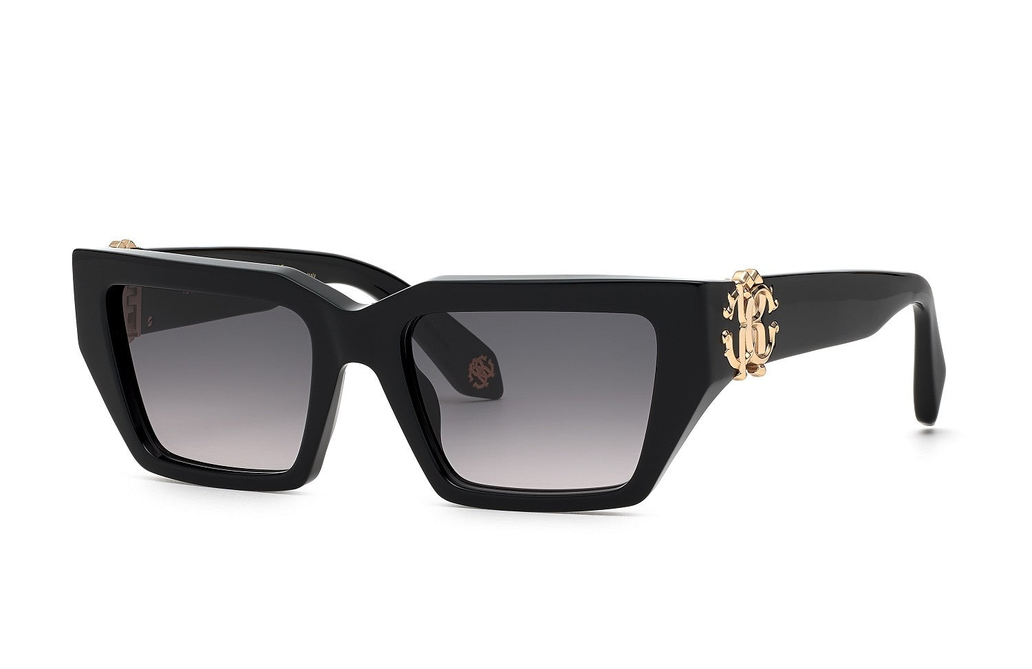 roberto-cavalli-src016m.jpg