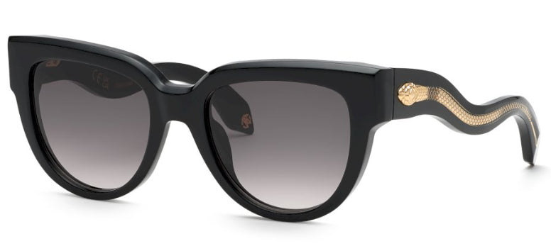 roberto-cavalli-src054.jpg